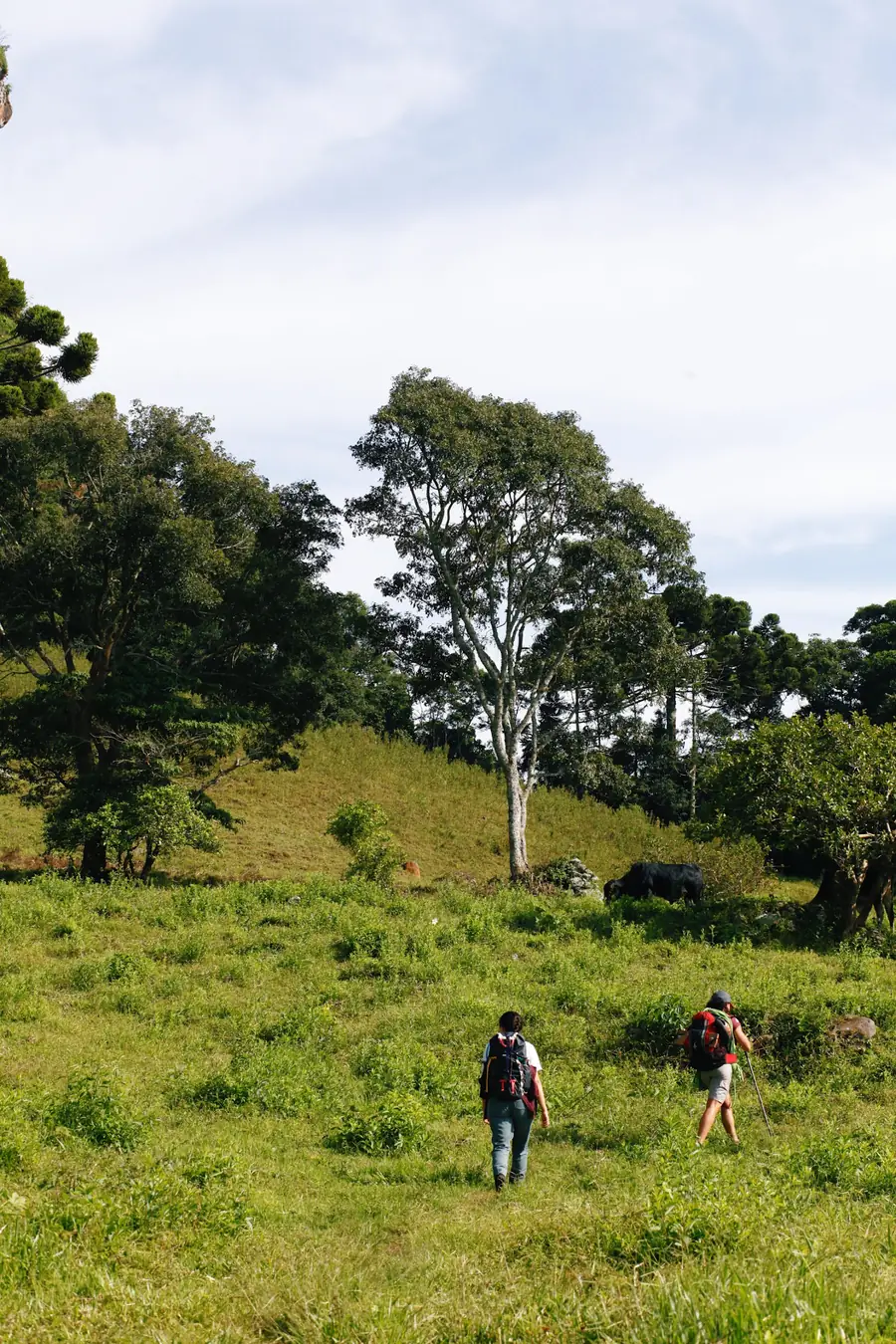 Duas escaladoras com mochilas caminhando por um campo rumo à montanha